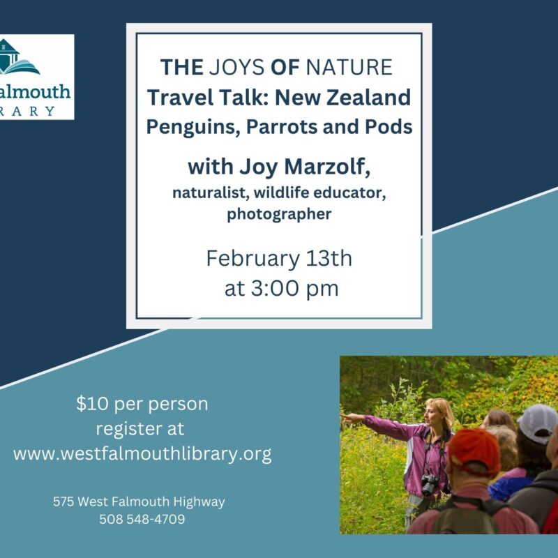 flyer for Feb 13 2025 The Joys of Nature event at West Falmouth Library