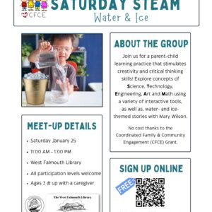 Flyer for January 25 2025 STEAM event at West Falmouth Library