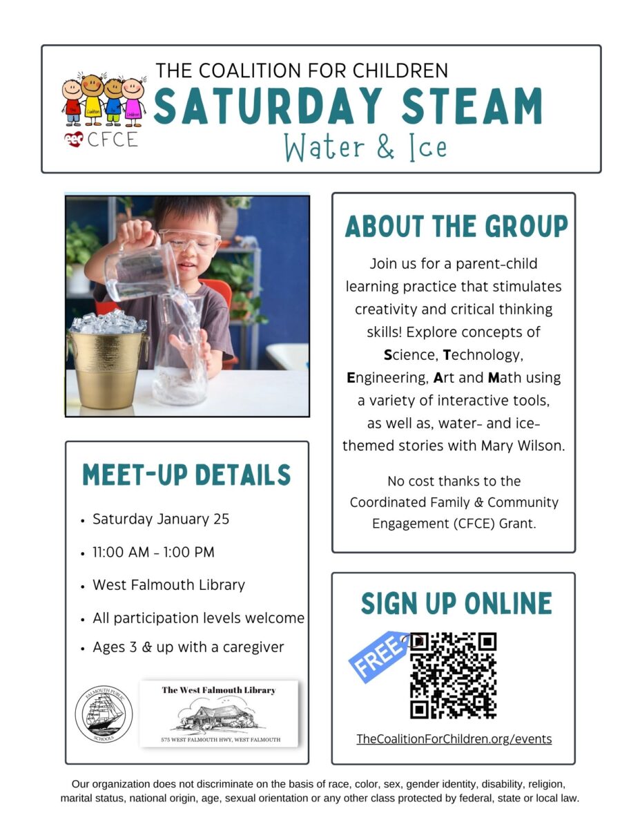 Flyer for January 25 2025 STEAM event at West Falmouth Library